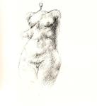 VENUS STUDY