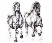 SOLD HORSE 7
